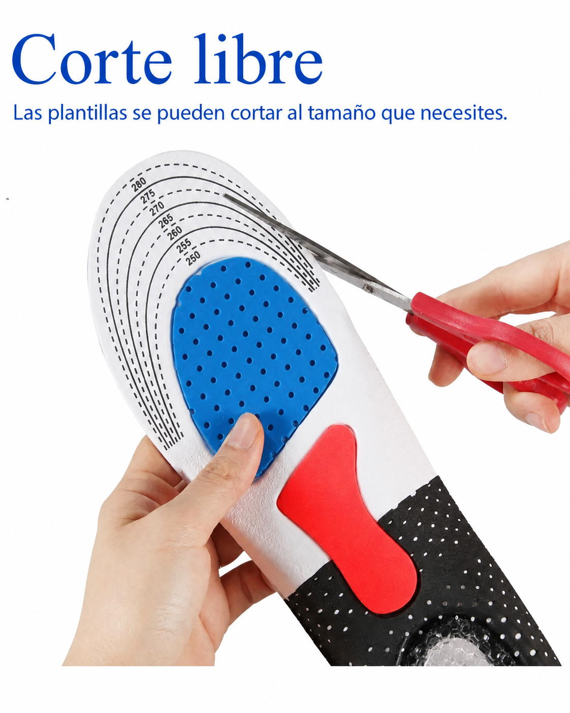 PLANTILLA NUVORA: SOPORTE Y DESCANSO + RODILLERA GRATIS